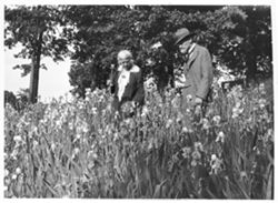 T.C. and Selma Steele, in field of irises
