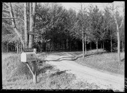 Hoh006.011.0050.2.tif