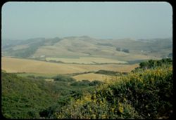 San Mateo county fields near San Gregorio