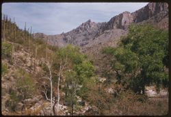 Sabino Canyon near Tucson Ariz.