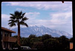 Snow-topped Mt. San Jacinto seen from Indio Hacienda- New Year's Day 1962