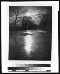 Salt Creek by moonlight