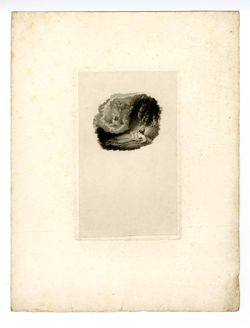 Milton illustration