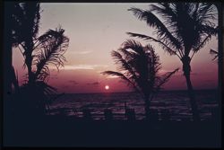 L-7= Sunrise over Gulf Stream, Miami Beach Duplicate