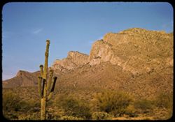 West end of Catalina Mtns.