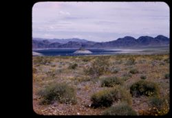 A former mountain tip in bay of Lake Mead above Boulder Dam.  View is from Nevada side.