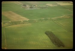 East Lothian fields Scotland