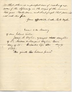 96. Redick M. Wylie to Andrew Wylie, Jr., 5 July 1867