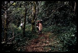 Ladies with head load on the trail