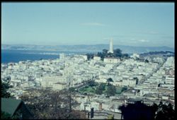 View N.E. from Russian Hill toward Telegraph Hill - San Francisco.