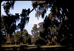 Audubon Park. New Orleans