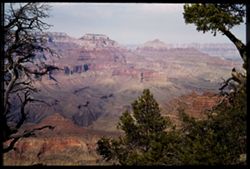 Grand Canyon from south rim in summer