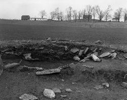 C.L. Lewis Stone Mound Excavation