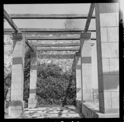 View of Art Institute grounds--arbor and arcade effect