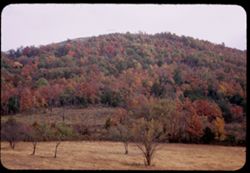 Ozark mountain side Carroll county Arkansas