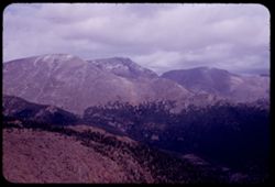 Looking across at Mummy range from highway at 11,000 ft. elevation in Rocky Mtn. Nat'l Park.
