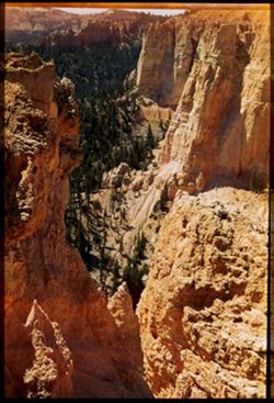 Tall rocks near Natural Bridge Bryce Canyon