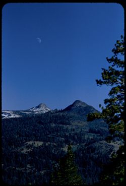 From Calif. Hwy 89 near El Dorado - Alpine county line View S.E. toward Pickett [9170 ft.] and Hawkins [10,060 ft.] peaks