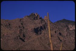 Top of ridge of Santa Catalina Mtns. north of Tucson
