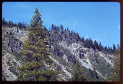 View up from Luther Pass road (Calif. 89) toward US 50 (Echo Summit) above.