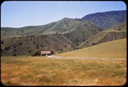 Hills several miles west of Coalinga along Cal. Hwy 198