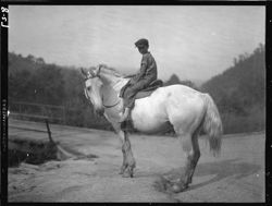 Boy on white horse at Whittier