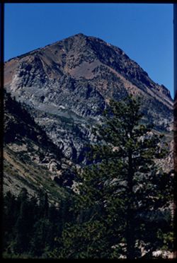 Tioga Peak from the East C.W. Cushman