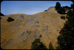 Steep rocky slope near Boonville Mendocino county