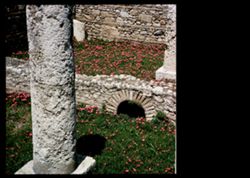 Flowers grow below south wall of Acropolis