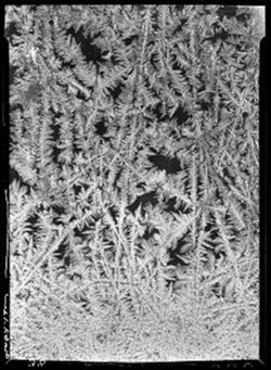 Ice crystals on garage windows (frost)