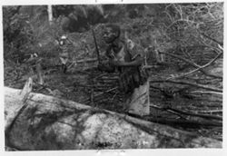 Woman harvesting fuel wood