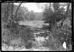 Rail fence and pool study on way to Porter's cave