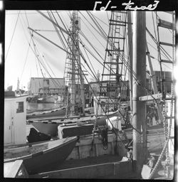 Gloucester boats