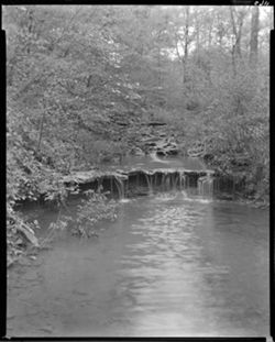 Stony Lonesome with dogwood and waterfalls (Early Springtime (orig. neg.)