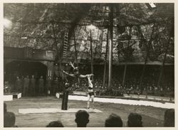 Circus performance in Gotha, Germany