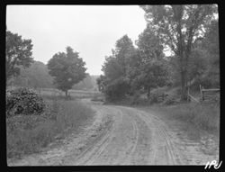 Gateway and road beyond Wilson's toward Helmsburg