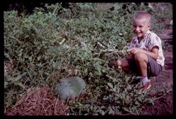 Warren and the watermelon in the Whitten garden