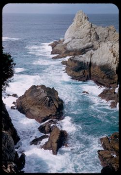The pinnacle and surf Point Lobos-Carmel Bay-California