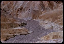 Lara stream bed below Zabriskie Pt.  Death Valley Nat'l Mon.