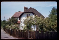House with thatched roof and rose garden in Wembley Park