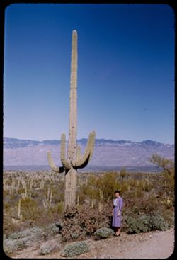 Jean stands near a giant Sahuaro in Sahuaro Nat'l Monument in Tanque Verde foothills.