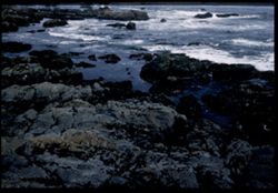 Rocks at low tide. Pigeon Pt. - California.