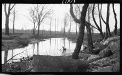 Crooked Creek, April 12, 1911, 4 p.m.