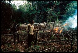 Men watching burning vegetation while clearing a farm