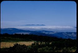 View north from San mateo county hills along Skyline Drive. Mt. Tamalpais is seen beyond fog bank.