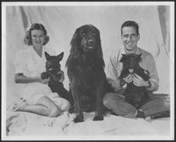 Humphrey Bogart with unidentified woman and three dogs.