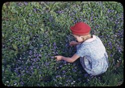 Little girl at Upton, Ind. Looks at Violets in early morning of 17 April, 1941 She was born May 28, 1939