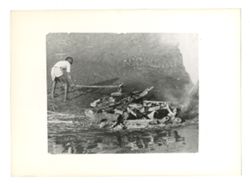 Man gathering wood on a river bank