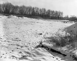 VAD5943-002252.tif