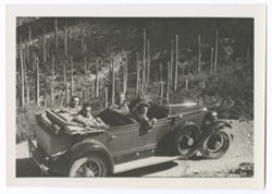 Item 0443. Various shots of Eisenstein, Tissé, Alexandrov and two unidentified men amid tall, single-stemmed cacti. Medium shot of same group in car.